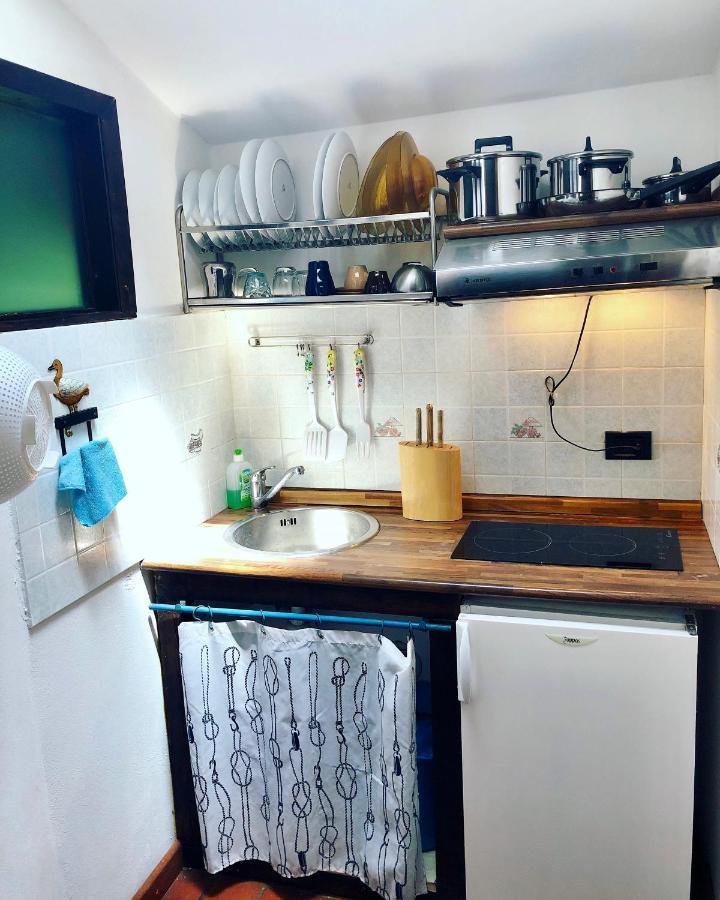 Agriturismo La Conte Lucca Dış mekan fotoğraf