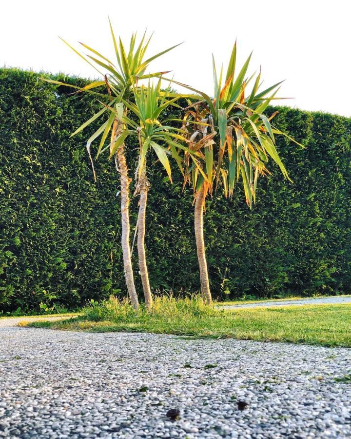 Agriturismo La Conte Lucca Dış mekan fotoğraf